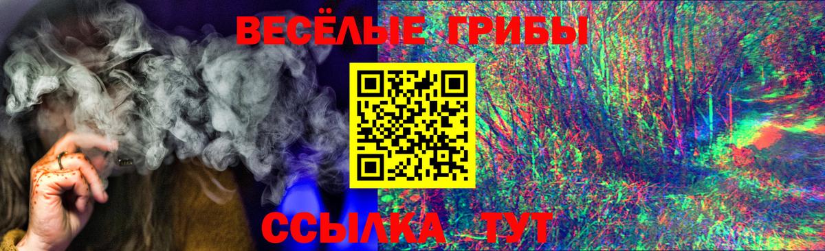 купить наркоту  Вход с VPN  Лиски  Псилоцибиновые грибы Psilocybe 